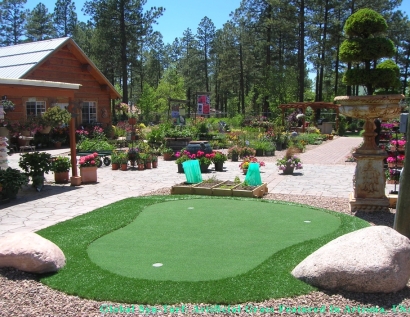 Artificial Grass Bloomfield, New Jersey Golf Green, Backyard Designs