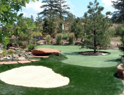 Artificial Grass Carpet Cedar City, Utah Putting Green Carpet, Backyard Design