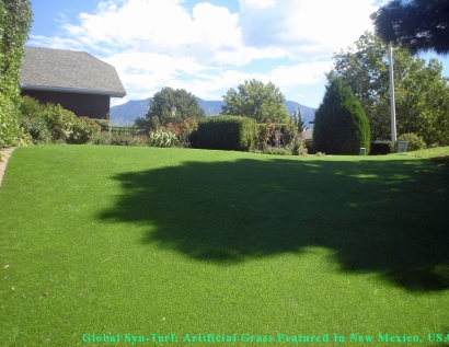 Artificial Grass Carpet Cerritos, California Landscaping Business, Backyard Landscaping
