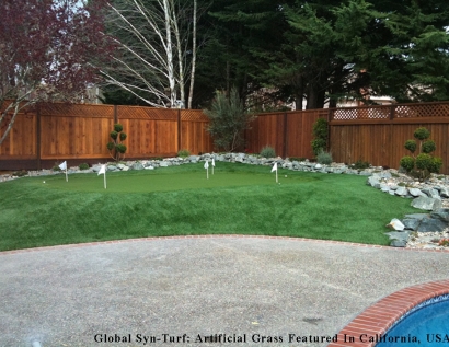 Artificial Grass Carpet Gilroy, California Putting Green Carpet, Small Backyard Ideas