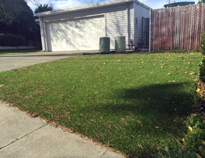 Artificial Grass Carpet Mason City, Iowa Landscape Photos, Small Front Yard Landscaping