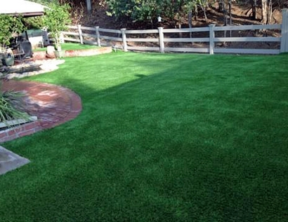 Artificial Grass Carpet Southgate, Michigan Landscaping Business, Backyard