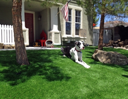 Artificial Grass Coppell, Texas Watch Dogs, Front Yard Landscaping Ideas