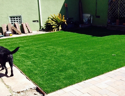 Artificial Grass Installation Coventry, Rhode Island Grass For Dogs, Backyard Design