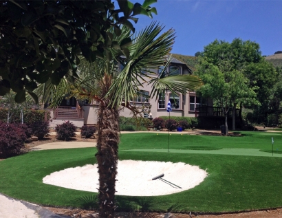 Artificial Grass Installation Georgetown, Texas Artificial Putting Greens, Front Yard Ideas