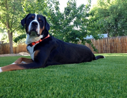 Artificial Grass Installation Saint Louis Park, Minnesota Dog Parks, Backyard Landscape Ideas