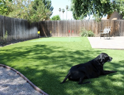 Artificial Grass Maryland Heights, Missouri Hotel For Dogs, Backyard Landscaping