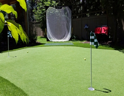 Artificial Grass Phenix City, Alabama Landscape Ideas, Beautiful Backyards