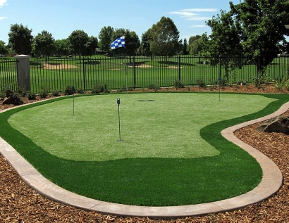 Artificial Grass Reynoldsburg, Ohio Office Putting Green, Backyard Design