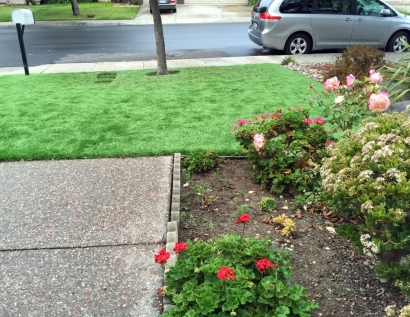 Artificial Lawn Des Moines, Washington Landscape Ideas, Small Front Yard Landscaping