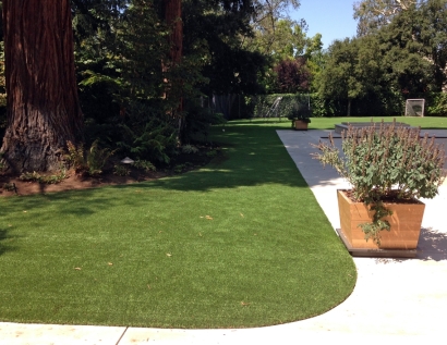 Artificial Lawn Salem, Massachusetts Artificial Grass For Dogs, Front Yard Landscape Ideas