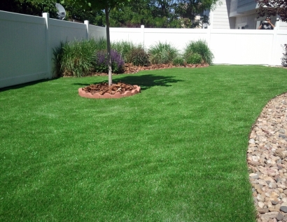 Artificial Lawn Tigard, Oregon Landscape Ideas, Backyard Landscape Ideas