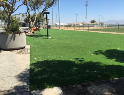 Artificial Lawn Windsor, California Garden Ideas, Commercial Landscape