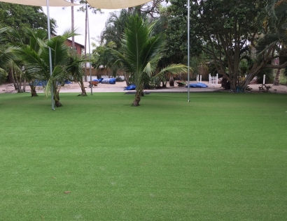 Artificial Turf Benicia, California City Landscape, Commercial Landscape