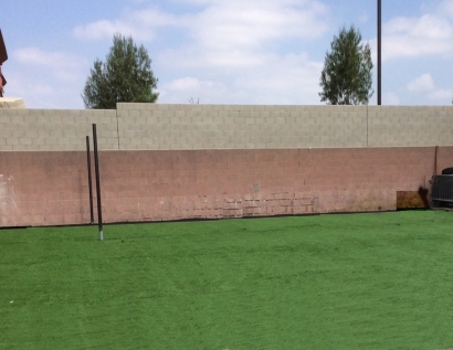 Artificial Turf Cost Belleville, New Jersey City Landscape