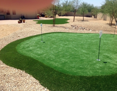 Artificial Turf Cost Inver Grove Heights, Minnesota Putting Green Carpet, Backyards