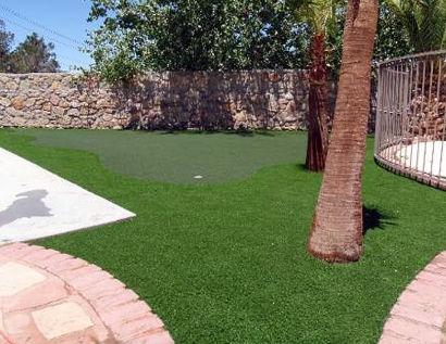 Artificial Turf Cost Laplace, Louisiana City Landscape, Backyard Landscaping