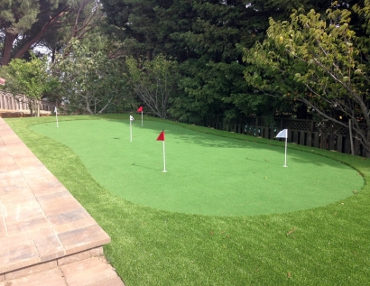 Artificial Turf Cost North Bel Air, Maryland Indoor Putting Green, Backyard Landscaping Ideas