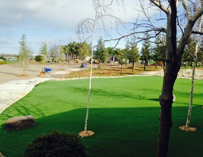 Artificial Turf Cost Paradise, California Landscape Design, Backyard Landscaping