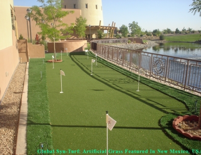 Artificial Turf Cost Pine Bluff, Arkansas Indoor Putting Green, Backyards