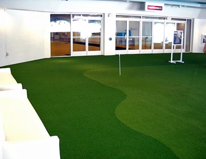 Artificial Turf East Lake, Florida Putting Green Carpet, Commercial Landscape