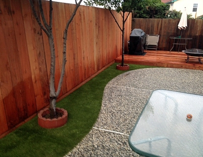 Artificial Turf Installation Atwater, California Dog Pound, Backyard Landscaping Ideas