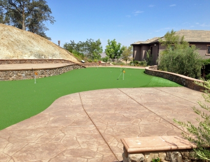 Artificial Turf Jackson, Michigan Office Putting Green, Backyard Landscape Ideas