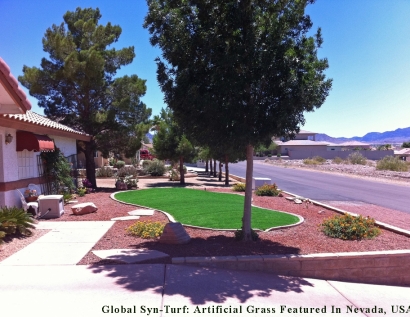 Artificial Turf Pinellas Park, Florida Landscape Ideas, Small Front Yard Landscaping