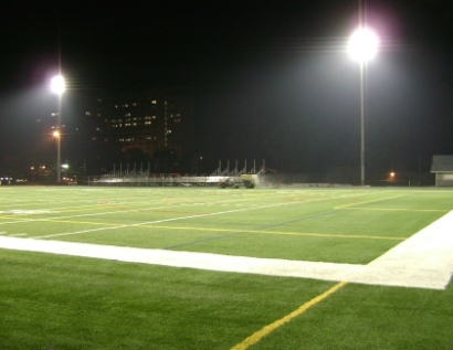 Artificial Turf Tuckahoe, Virginia Sports Athority