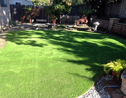 Artificial Turf West Springfield, Massachusetts Pet Turf, Backyard Landscaping