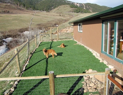 Best Artificial Grass Caldwell, Idaho Pet Paradise, Backyard Landscape Ideas