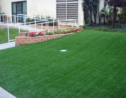 Best Artificial Grass Wheat Ridge, Colorado Home And Garden, Front Yard Ideas