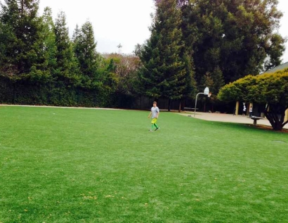 Best Artificial Grass Willowbrook, California Soccer Fields, Parks