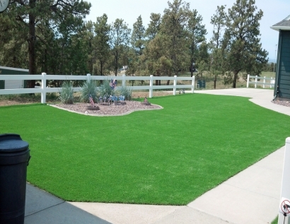 Fake Grass Carpet Bedford, Texas Roof Top, Front Yard Design