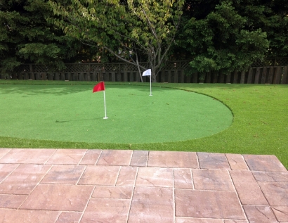 Fake Grass Carpet Rome, New York Outdoor Putting Green, Backyard Landscaping Ideas