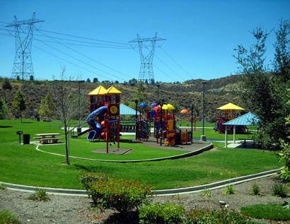 Fake Grass Carpet Socorro, Texas Home And Garden, Parks