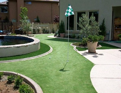Fake Grass Carpet South Miami Heights, Florida How To Build A Putting Green, Backyard