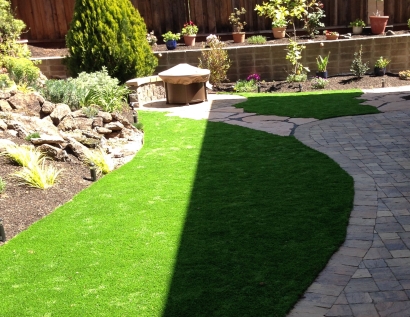 Fake Grass Carpet Stoughton, Massachusetts Landscape Ideas