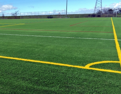 Fake Grass Carpet Wellesley, Massachusetts Backyard Sports