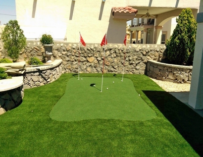 Fake Grass Hallandale Beach, Florida Backyard Putting Green, Backyard Landscape Ideas