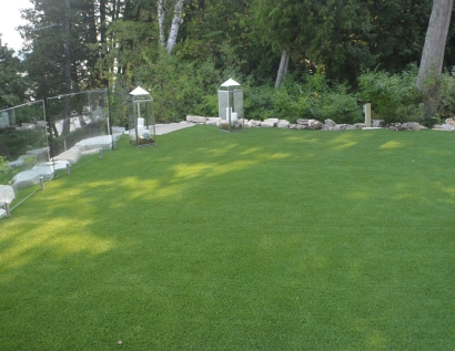 Fake Grass Leander, Texas City Landscape, Backyards