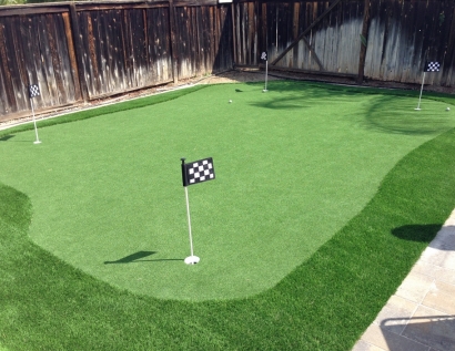 Fake Grass Olympia, Washington Putting Green Carpet, Backyard