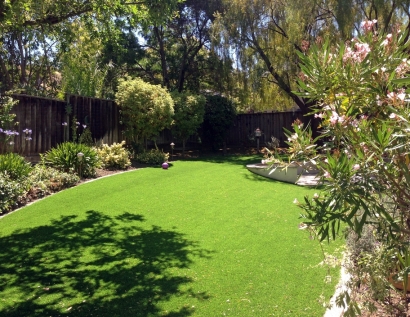 Fake Grass Potomac, Maryland Landscape Photos, Backyard Ideas