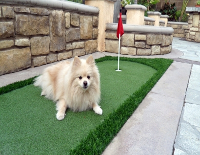 Fake Grass Russellville, Arkansas Backyard Playground, Dogs Runs