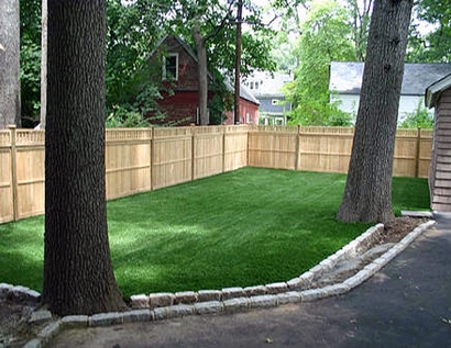 Fake Grass The Colony, Texas Artificial Grass For Dogs, Backyard Landscape Ideas