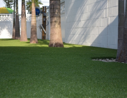 Fake Grass University Park, Florida Landscape Design, Commercial Landscape