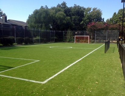 Fake Grass West Seneca, New York Sports Athority, Commercial Landscape