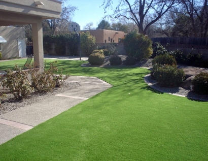 Fake Lawn Chesterfield, Missouri Landscape Design, Front Yard Landscaping