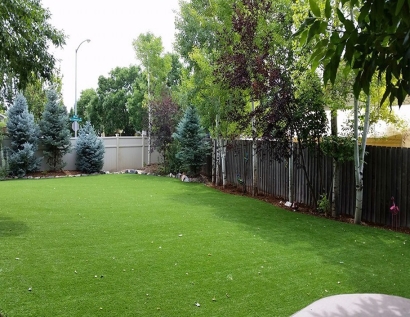 Fake Lawn Dracut, Massachusetts Dog Grass, Backyard Garden Ideas