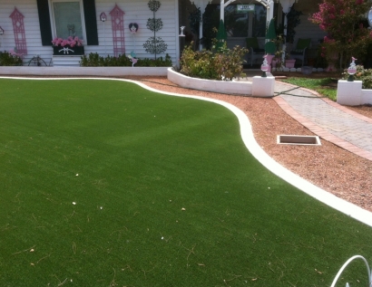 Fake Lawn Kokomo, Indiana Gardeners, Front Yard Ideas